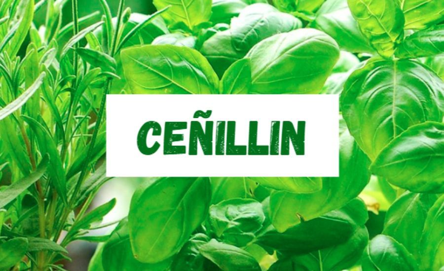 ceñillin