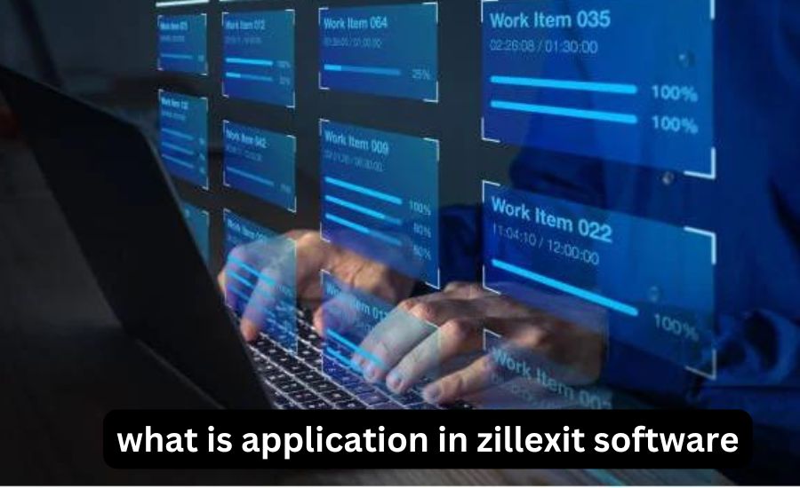 what is application in zillexit software