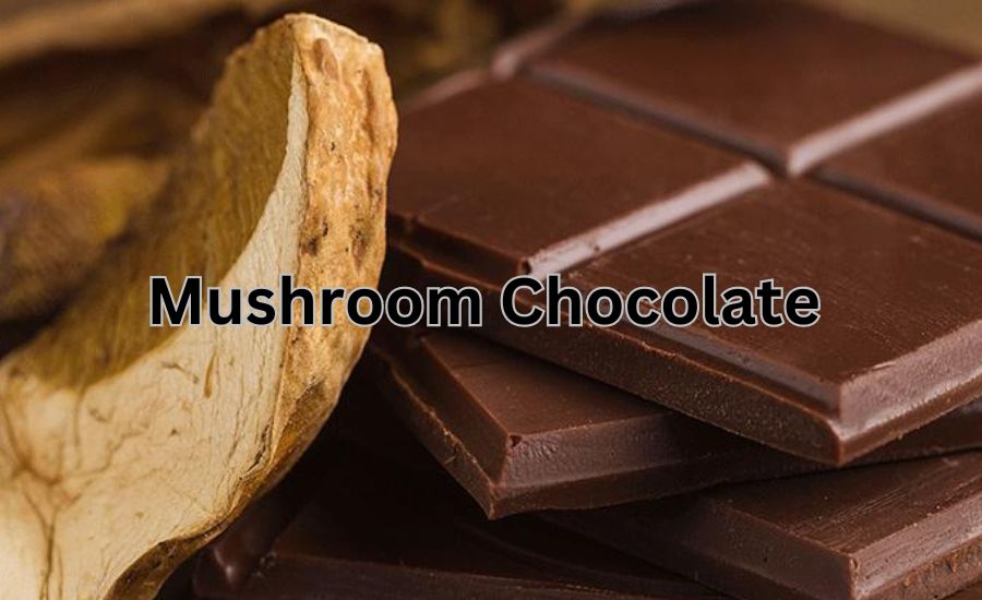 Mushroom Chocolate