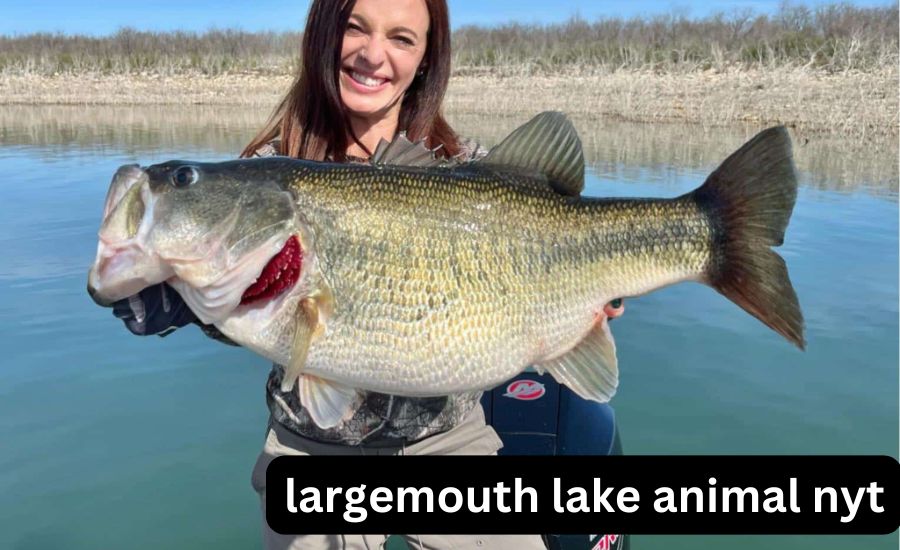 largemouth lake animal nyt