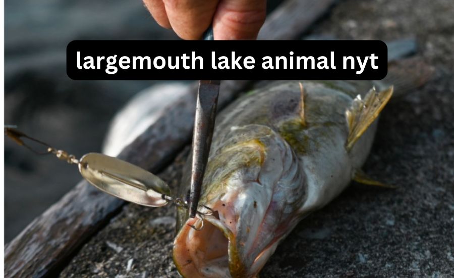 largemouth lake animal nyt