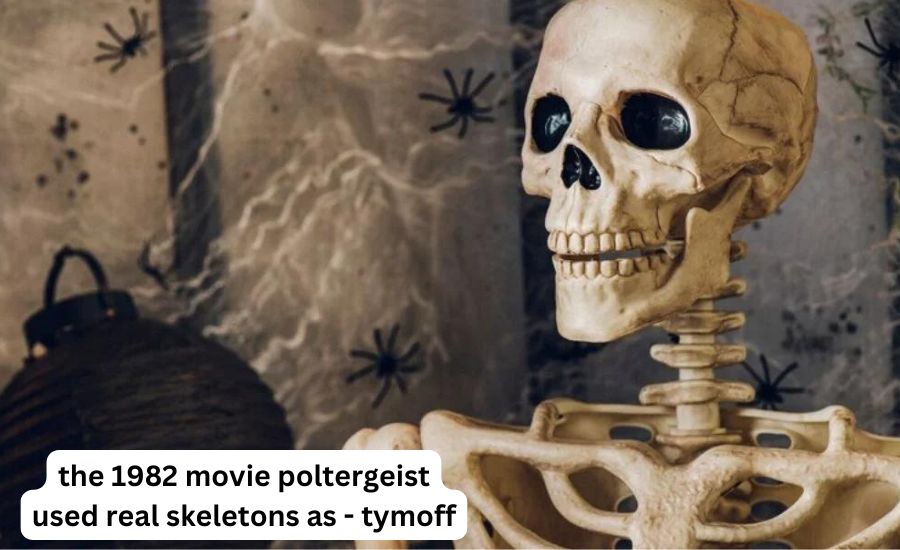 the 1982 movie poltergeist used real skeletons as - tymoff