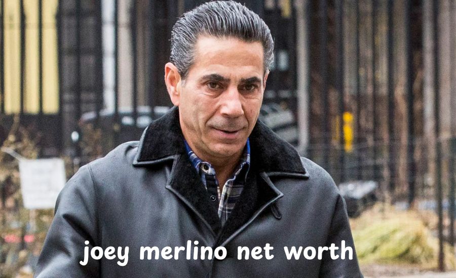 joey merlino net worth