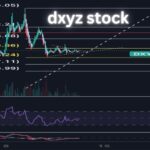 dxyz stock