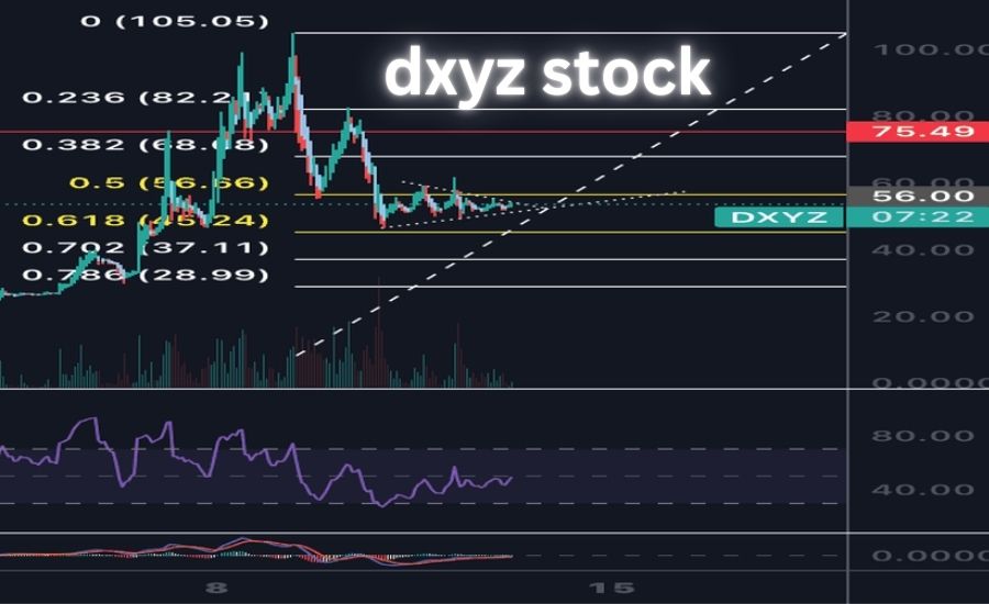 dxyz stock